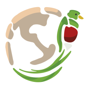 Tour en Guatemala con Quetzalito Tours Atitlán